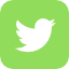 twitter icon